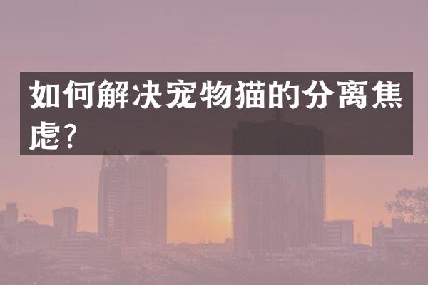 如何解决宠物猫的分离焦虑？