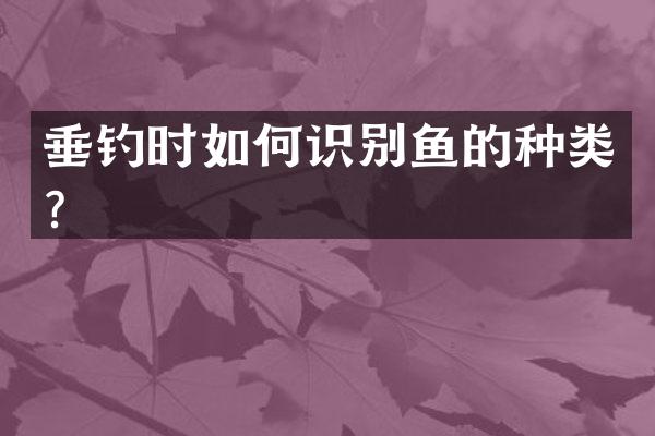 垂钓时如何识别鱼的种类？