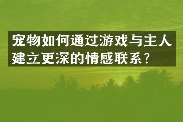宠物如何通过游戏与主人建立更深的情感联系？