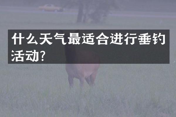 什么天气最适合进行垂钓活动？