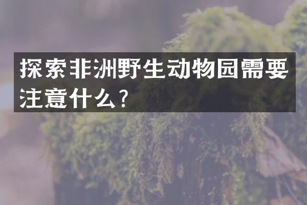 探索非洲野生动物园需要注意什么？