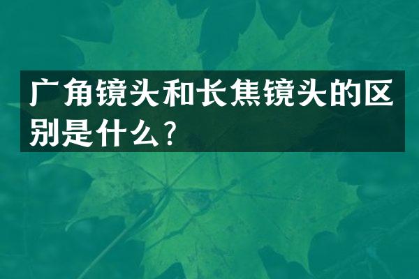 广角镜头和长焦镜头的区别是什么？