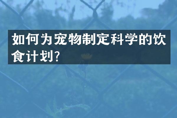 如何为宠物制定科学的饮食计划？