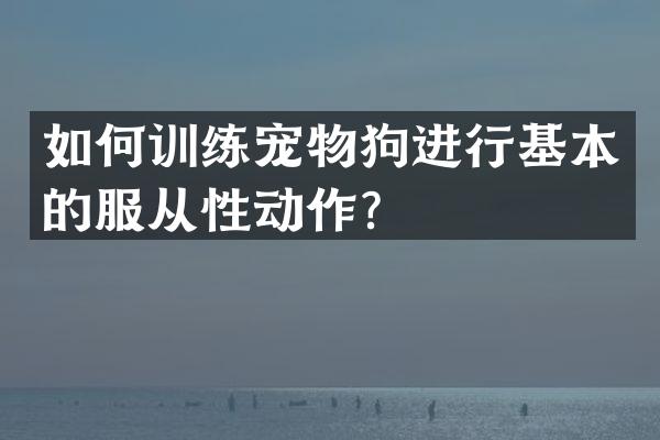 如何训练宠物狗进行基本的服从性动作？