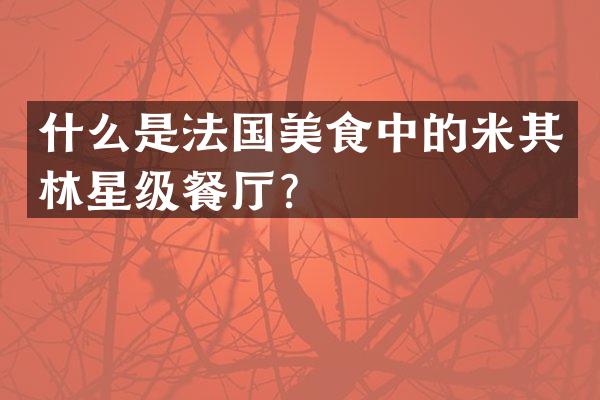 什么是法国美食中的米其林星级餐厅？