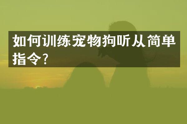 如何训练宠物狗听从简单指令？