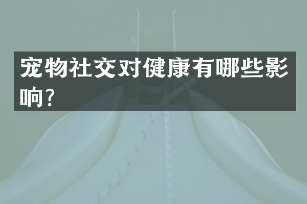 宠物社交对健康有哪些影响？