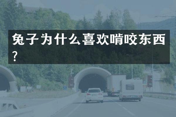 兔子为什么喜欢啃咬东西？