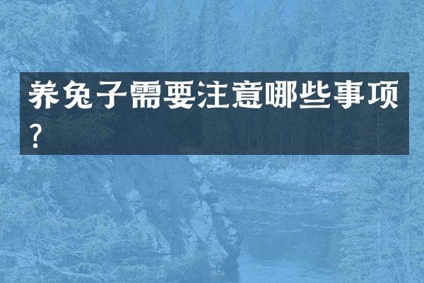 养兔子需要注意哪些事项？