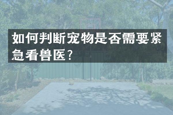 如何判断宠物是否需要紧急看兽医？