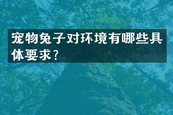 宠物兔子对环境有哪些具体要求？