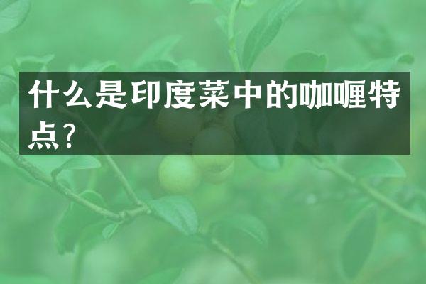 什么是印度菜中的咖喱特点？