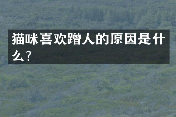猫咪喜欢蹭人的原因是什么？