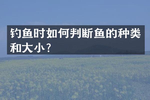 钓鱼时如何判断鱼的种类和大小？