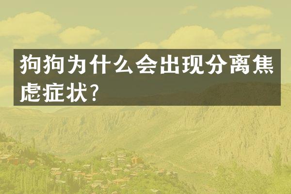 狗狗为什么会出现分离焦虑症状？