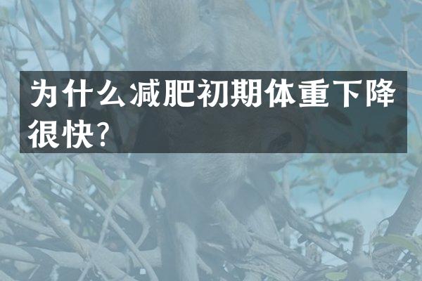 为什么减肥初期体重下降很快？