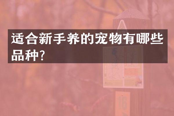 适合新手养的宠物有哪些品种？