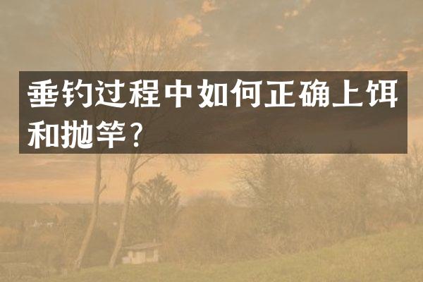 垂钓过程中如何正确上饵和抛竿？