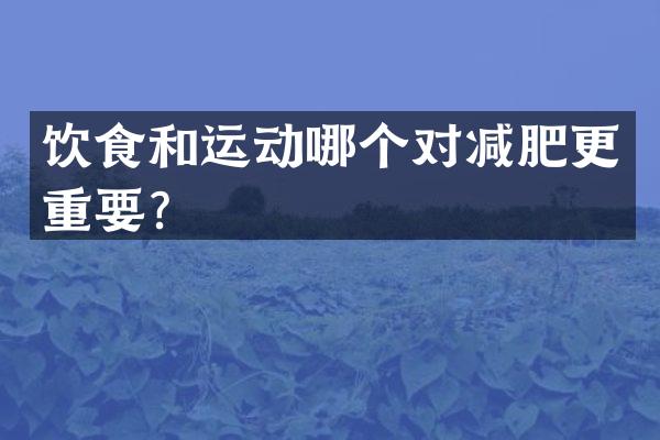 饮食和运动哪个对减肥更重要？