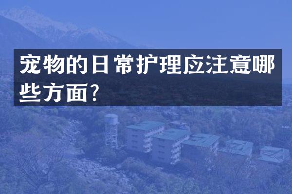 宠物的日常护理应注意哪些方面？