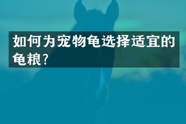 如何为宠物龟选择适宜的龟粮？