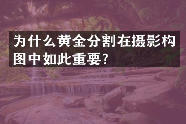 为什么黄金分割在摄影构图中如此重要？