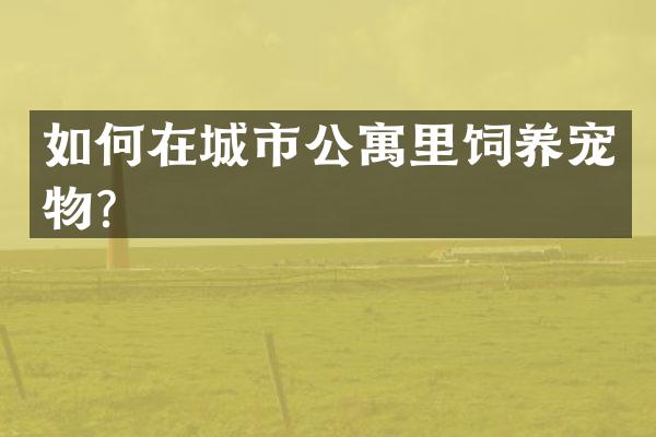 如何在城市公寓里饲养宠物？