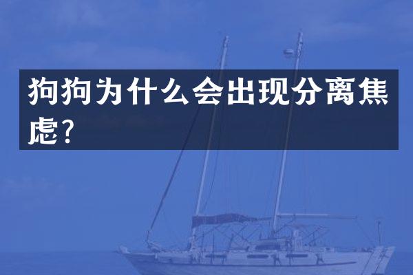 狗狗为什么会出现分离焦虑？