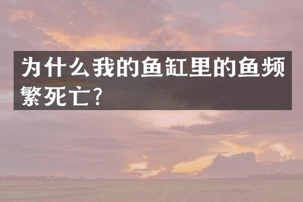 为什么我的鱼缸里的鱼频繁死亡？