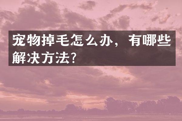 宠物掉毛怎么办，有哪些解决方法？