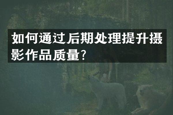 如何通过后期处理提升摄影作品质量？