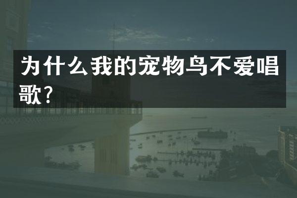 为什么我的宠物鸟不爱唱歌？