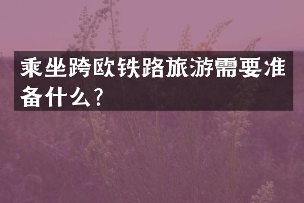 乘坐跨欧铁路旅游需要准备什么？