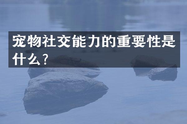 宠物社交能力的重要性是什么？