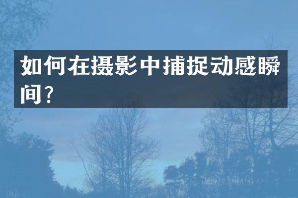 如何在摄影中捕捉动感瞬间？