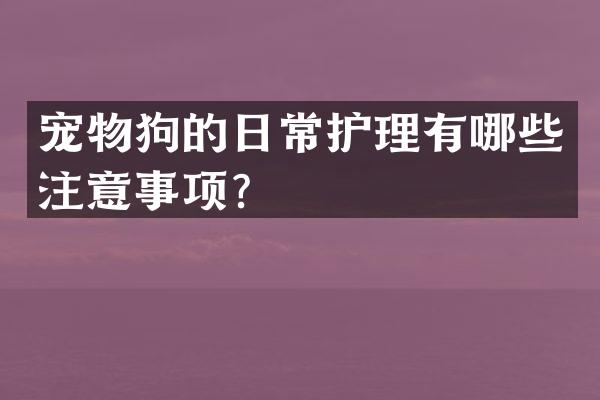 宠物狗的日常护理有哪些注意事项？