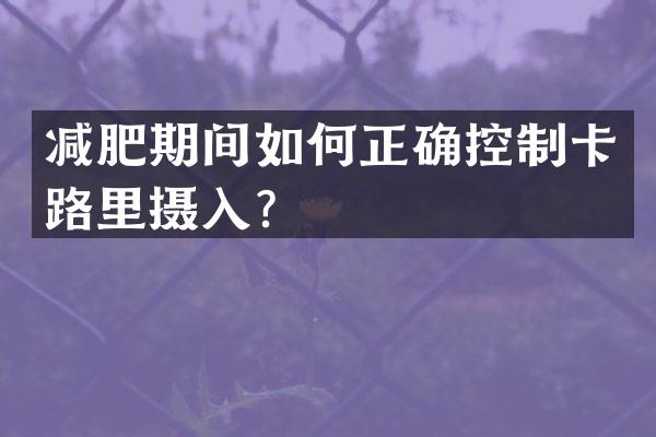 减肥期间如何正确控制卡路里摄入？