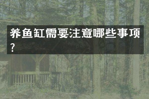 养鱼缸需要注意哪些事项？