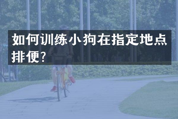 如何训练小狗在指定地点排便？