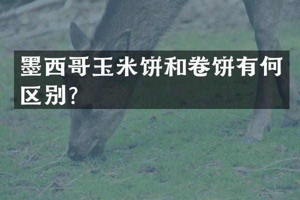 墨西哥玉米饼和卷饼有何区别？