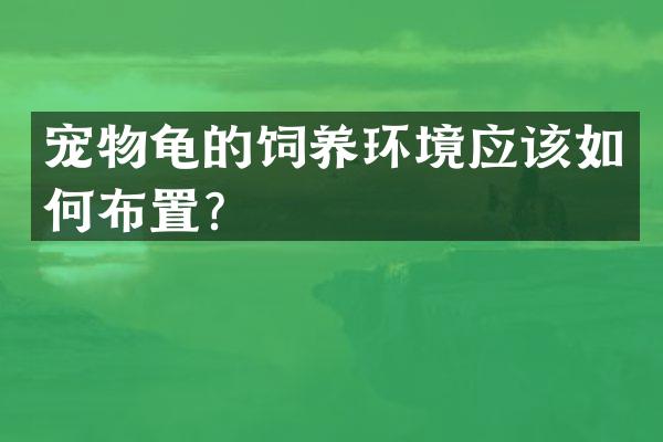 宠物龟的饲养环境应该如何布置？
