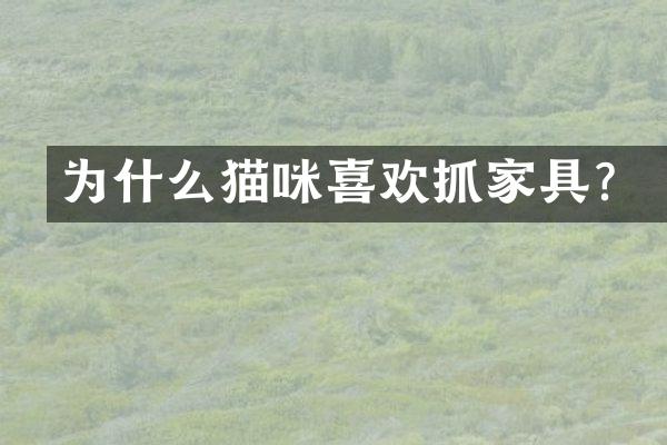 为什么猫咪喜欢抓家具？