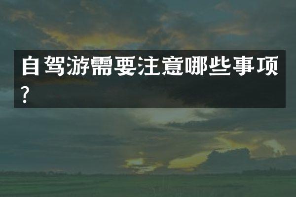 自驾游需要注意哪些事项？