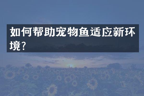 如何帮助宠物鱼适应新环境？