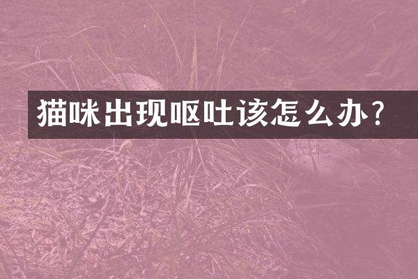 猫咪出现呕吐该怎么办？