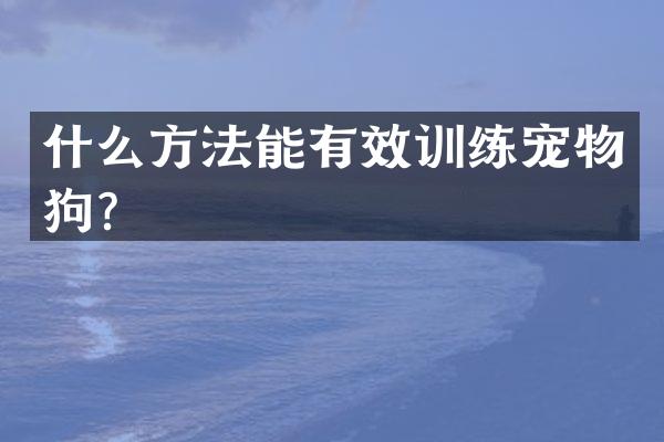 什么方法能有效训练宠物狗？