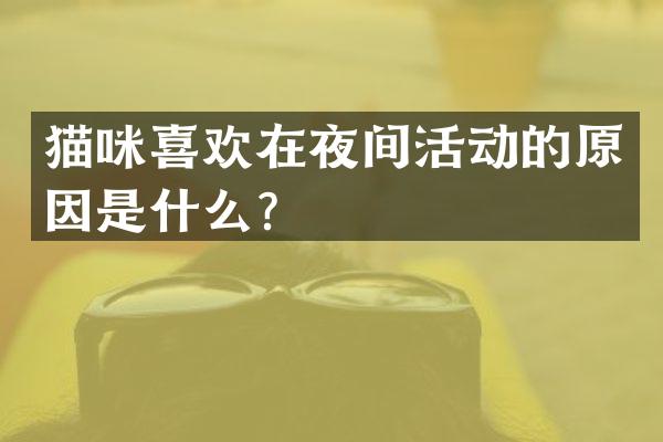 猫咪喜欢在夜间活动的原因是什么？