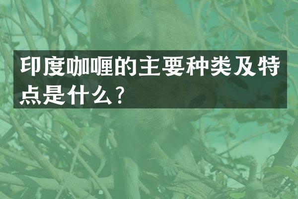 印度咖喱的主要种类及特点是什么？