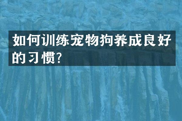 如何训练宠物狗养成良好的习惯？