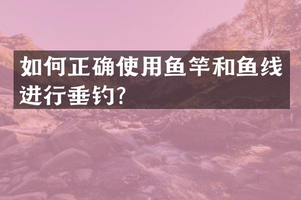 如何正确使用鱼竿和鱼线进行垂钓？